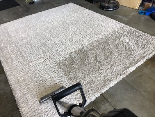 Oriental Rug & Area Rug Cleaning! - Cleaning your oriental rug or area rug thoroughly and safely takes special care and equipment. At Sonrise Carpet Care we will remove the rug from your home and clean it in our off site facility rather than in your home for the best quality cleaning. Call for a free estimate: 937.550.4049