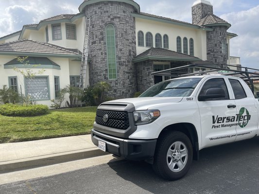 Residential Pest Control & Prevention - Versa-Tech® Pest Management delivers professional, personalized pest control and home protection, prevention, and extermination services for homeowners across San Dimas, the San Gabriel Valley, Los Angeles, and Orange County, CA. We provide targeted treatments for ants, bed bugs, cockroaches, spiders, flies, mosquitoes, fleas, ticks, and rodents, as well as specialized bird control and wildlife management. Call today for a free inspection and estimate to receive a customized protection plan tailored to your property. Residential Pest Control & Prevention - Versa-Tech® Pest Management delivers professional, personalized pest control and home protection, prevention, and extermination services for homeowners across San Dimas, the San Gabriel Valley, Los Angeles, and Orange County, CA. We provide targeted treatments for ants, bed bugs, cockroaches, spiders, flies, mosquitoes, fleas, ticks, and rodents, as well as specialized bird control and wildlife management. Call today for a free inspection and estimate to receive a customized protection plan tailored to your property.