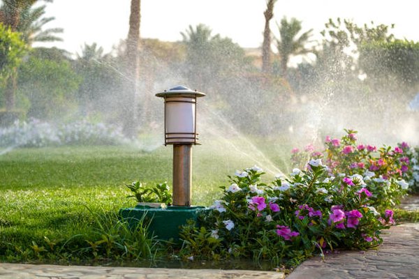 Irrigation Services 760-987-7635 - Installation: Whether it's a small garden or a vast commercial space, we design and install irrigation systems that cater to your landscape's requirements.
Maintenance & Repairs: From routine check-ups to prompt repairs, our team ensures your system operates at its best, saving you time and money in the long run.
Upgrades & Retrofits: We upgrade existing systems or retrofit them with modern advancements, optimizing their performance and water usage.
Customer satisfaction is our priority. We strive to exceed your expectations by delivering unparalleled service and exceptional results. Irrigation Services 760-987-7635 - Installation: Whether it's a small garden or a vast commercial space, we design and install irrigation systems that cater to your landscape's requirements.
Maintenance & Repairs: From routine check-ups to prompt repairs, our team ensures your system operates at its best, saving you time and money in the long run.
Upgrades & Retrofits: We upgrade existing systems or retrofit them with modern advancements, optimizing their performance and water usage.
Customer satisfaction is our priority. We strive to exceed your expectations by delivering unparalleled service and exceptional results.