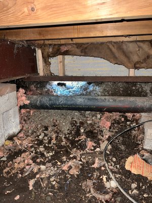 Crawl Space Restoration - Experience the excitement of a before and after of crawlspace restoration. Our process ensures every corner is cleansed, repaired, and fortified, promising a pristine, healthy environment for your property.