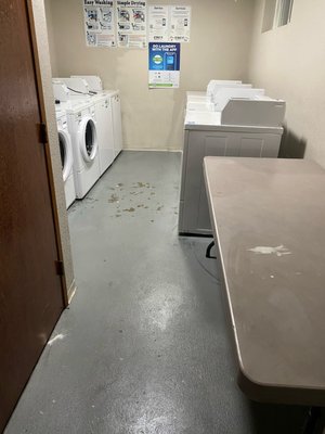 Laundry Room Deep Clean - One time deep cleaning for an apartment complex. The property management company was getting complaints about the laundry room. We went in and deep cleaned all the washers, dryers, floors and base boards. It made a whirl of difference! Laundry Room Deep Clean - One time deep cleaning for an apartment complex. The property management company was getting complaints about the laundry room. We went in and deep cleaned all the washers, dryers, floors and base boards. It made a whirl of difference!