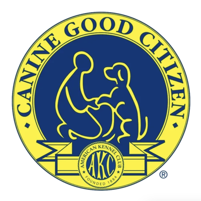 American Kennel Club Certified - AKC Evaluator # 1007171

American Kennel Club S.T.A.R. Puppy Programs and American Kennel Club Canine Good Citizen (CGC) programs are available with Timeless K9. 

The AKC S.T.A.R. Puppy is an exciting program designed to get dog owners and their puppies off to a good start. 

CGC is a ten-skill training program that’s open to all dogs–purebred and mixed breed–that focuses on teaching the basics of good manners and obedience, instilling the values of responsible ownership, and strengthening the bond between you and your dog at home and out in the community.