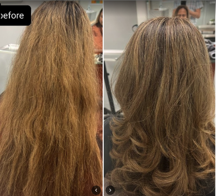 Cut and Color - Women's Haircuts and Coloring Services Cut and Color - Women's Haircuts and Coloring Services