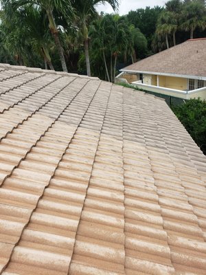 Low pressure roof cleaning - Soft Wash Roof Cleaning Low pressure roof cleaning - Soft Wash Roof Cleaning