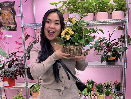 Monthly Plant Raffle - Every Item You Purchase Enters You Into Our Monthly Raffle! Monthly Plant Raffle - Every Item You Purchase Enters You Into Our Monthly Raffle!