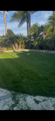 Maintenance - Welcome to the Maintenance Services Portfolio of Nuevo Verde Landscaping Co.—your dependable partner for keeping outdoor spaces clean, healthy, and consistently well cared for year-round.
A beautiful landscape is not created only once; it is maintained through ongoing attention, proper techniques, and expert seasonal care. Our maintenance services are designed to protect your investment, enhance curb appeal, and ensure your property always looks its best.
Whether you manage a home, rental property, commercial building, or HOA community, our team delivers high-quality, reliable maintenance solutions tailored to your needs.
COMPREHENSIVE LANDSCAPE MAINTENANCE
Our recurring maintenance plans provide everything required to keep outdoor areas healthy and presentable. Services may include:
• Lawn mowing and edging
• Trimming and shaping shrubs, bushes, and hedges
• Weed control and prevention
• Planter bed upkeep
• Removal of leaves and debris
• Tree care (small trees)
• Refreshing mulch or decorative rock
• Seasonal fertilization options
• General landscape health monitoring
We customize each maintenance plan based on the size of the property, landscape type, and client preferences. Our focus is consistency, quality, and proactive care.
CLEAN, PROFESSIONAL WORK—EVERY TIME
Our maintenance crews follow a detailed process to deliver uniform, polished results. We use modern equipment, safe practices, and efficient workflows to ensure:
• Clean edges along lawns, walkways, and planters
• Proper blade heights for healthy grass
• Even trimming for shrubs and hedges
• No debris left behind after service
• Careful handling of plants and structures
We aim to leave every property looking better than when we arrived.
SEASONAL LANDSCAPE CARE
Southern California landscapes require different maintenance depending on the time of year. Our team understands seasonal patterns and adjusts services accordingly:
• Spring growth preparation
• Summer water-conservation strategies
• Fall cleanup and plant protection
• Winter pruning and health assessments
By adapting care throughout the year, we help plants stay vibrant, resilient, and properly nourished.
MAINTENANCE FOR COMMERCIAL PROPERTIES & HOAs
We provide dependable landscape maintenance for:
• Apartment communities
• Retail centers
• Office buildings
• Industrial facilities
• Multi-unit housing
• HOA neighborhoods
Property managers appreciate our clear communication, consistent scheduling, and ability to handle both routine care and special requests. We understand the importance of maintaining a polished appearance for residents, guests, and customers.
ADD-ON MAINTENANCE SERVICES
Beyond recurring visits, clients can request additional services such as:
• Irrigation checks and repairs
• Mulch refresh
• Plant replacement
• Sod patching
• Gravel and rock replenishment
• Drainage assessments
• Tree trimming (small to medium)
• One-time deep cleanups
Our goal is to be a full-service partner who supports every aspect of your outdoor space.
WHY CLIENTS CHOOSE NUEVO VERDE LANDSCAPING CO.
• Reliable, on-time crews
• Professional communication
• Quality workmanship and attention to detail
• Fair and transparent pricing
• Knowledge of plant care and soil health
• Tailored plans that match property needs
• Consistent results you can see week after week
We take pride in maintaining landscapes that reflect care, professionalism, and long-term value.
Whether you need weekly, biweekly, or monthly maintenance, Nuevo Verde Landscaping Co. is committed to delivering dependable service and exceptional results.
Browse our portfolio to view examples of our work, and contact us anytime for a free estimate or to customize a maintenance plan for your property. Maintenance - Welcome to the Maintenance Services Portfolio of Nuevo Verde Landscaping Co.—your dependable partner for keeping outdoor spaces clean, healthy, and consistently well cared for year-round.
A beautiful landscape is not created only once; it is maintained through ongoing attention, proper techniques, and expert seasonal care. Our maintenance services are designed to protect your investment, enhance curb appeal, and ensure your property always looks its best.
Whether you manage a home, rental property, commercial building, or HOA community, our team delivers high-quality, reliable maintenance solutions tailored to your needs.
COMPREHENSIVE LANDSCAPE MAINTENANCE
Our recurring maintenance plans provide everything required to keep outdoor areas healthy and presentable. Services may include:
• Lawn mowing and edging
• Trimming and shaping shrubs, bushes, and hedges
• Weed control and prevention
• Planter bed upkeep
• Removal of leaves and debris
• Tree care (small trees)
• Refreshing mulch or decorative rock
• Seasonal fertilization options
• General landscape health monitoring
We customize each maintenance plan based on the size of the property, landscape type, and client preferences. Our focus is consistency, quality, and proactive care.
CLEAN, PROFESSIONAL WORK—EVERY TIME
Our maintenance crews follow a detailed process to deliver uniform, polished results. We use modern equipment, safe practices, and efficient workflows to ensure:
• Clean edges along lawns, walkways, and planters
• Proper blade heights for healthy grass
• Even trimming for shrubs and hedges
• No debris left behind after service
• Careful handling of plants and structures
We aim to leave every property looking better than when we arrived.
SEASONAL LANDSCAPE CARE
Southern California landscapes require different maintenance depending on the time of year. Our team understands seasonal patterns and adjusts services accordingly:
• Spring growth preparation
• Summer water-conservation strategies
• Fall cleanup and plant protection
• Winter pruning and health assessments
By adapting care throughout the year, we help plants stay vibrant, resilient, and properly nourished.
MAINTENANCE FOR COMMERCIAL PROPERTIES & HOAs
We provide dependable landscape maintenance for:
• Apartment communities
• Retail centers
• Office buildings
• Industrial facilities
• Multi-unit housing
• HOA neighborhoods
Property managers appreciate our clear communication, consistent scheduling, and ability to handle both routine care and special requests. We understand the importance of maintaining a polished appearance for residents, guests, and customers.
ADD-ON MAINTENANCE SERVICES
Beyond recurring visits, clients can request additional services such as:
• Irrigation checks and repairs
• Mulch refresh
• Plant replacement
• Sod patching
• Gravel and rock replenishment
• Drainage assessments
• Tree trimming (small to medium)
• One-time deep cleanups
Our goal is to be a full-service partner who supports every aspect of your outdoor space.
WHY CLIENTS CHOOSE NUEVO VERDE LANDSCAPING CO.
• Reliable, on-time crews
• Professional communication
• Quality workmanship and attention to detail
• Fair and transparent pricing
• Knowledge of plant care and soil health
• Tailored plans that match property needs
• Consistent results you can see week after week
We take pride in maintaining landscapes that reflect care, professionalism, and long-term value.
Whether you need weekly, biweekly, or monthly maintenance, Nuevo Verde Landscaping Co. is committed to delivering dependable service and exceptional results.
Browse our portfolio to view examples of our work, and contact us anytime for a free estimate or to customize a maintenance plan for your property.