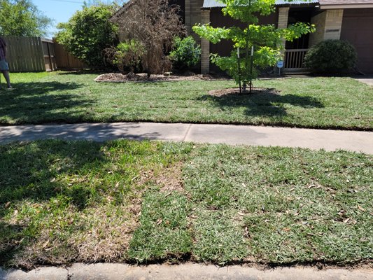 Front yard sod - A customer called us saying his front yard was ugly and patchy and he wanted new sod installed and the old one removed and asked us if we could add a new layer of 50/50 which is a mixture of topsoil and bank sand Front yard sod - A customer called us saying his front yard was ugly and patchy and he wanted new sod installed and the old one removed and asked us if we could add a new layer of 50/50 which is a mixture of topsoil and bank sand