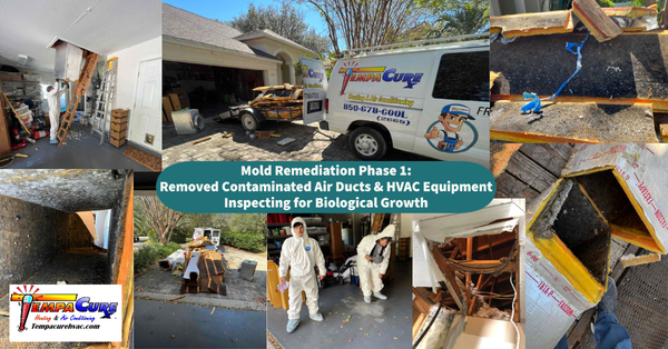 Mold Remediation - Clean Air is our Priority! Repairing mold damage in this customer's home and eliminating mold once and for all! Mold Remediation - Clean Air is our Priority! Repairing mold damage in this customer's home and eliminating mold once and for all!