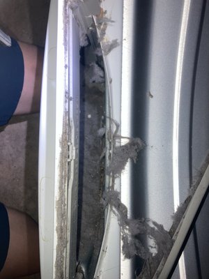 Dryer Vent Cleaning - This Dryer was not dryer the clothes properly. The vent was not cleaned in almost five years. But after cleaning the dryer, the vent and installing a new vent hose it is good as new! Dryer Vent Cleaning - This Dryer was not dryer the clothes properly. The vent was not cleaned in almost five years. But after cleaning the dryer, the vent and installing a new vent hose it is good as new!