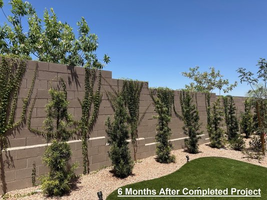 Landscape Enhancement - Completed before and after pictures of landscape enhancement