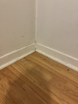 Wall and edges - Clean walls and edges can change how a room feels. Wall and edges - Clean walls and edges can change how a room feels.