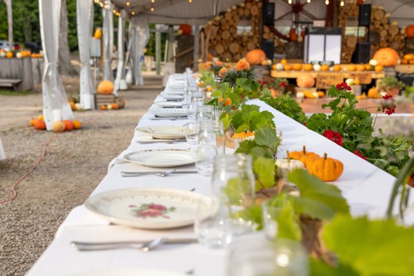 Beautiful Wedding on a warm Fall Day - Imagine exchanging vows amidst the vibrant hues of fall foliage, with the golden sunlight casting a warm glow over the rustic barns and sprawling fields. The Gallery captures the essence of romance and rustic charm, showcasing moments of joy, love, and celebration against the backdrop of nature's beauty. From candid shots of laughter-filled ceremonies to intimate portraits amidst pumpkin patches, every image tells a story of a magical day filled with warmth and love. Step into the gallery and relive the enchantment of a wedding day that bloomed in the heart of autumn's embrace. Beautiful Wedding on a warm Fall Day - Imagine exchanging vows amidst the vibrant hues of fall foliage, with the golden sunlight casting a warm glow over the rustic barns and sprawling fields. The Gallery captures the essence of romance and rustic charm, showcasing moments of joy, love, and celebration against the backdrop of nature's beauty. From candid shots of laughter-filled ceremonies to intimate portraits amidst pumpkin patches, every image tells a story of a magical day filled with warmth and love. Step into the gallery and relive the enchantment of a wedding day that bloomed in the heart of autumn's embrace.