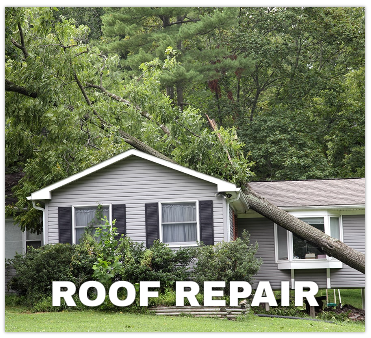 Roof Repairs - Vanguard Roofing specializes in working with insurance companies to help you navigate
this frequently difficult process. If the roof of your home or business has sustained damage in a hail or high-wind storm or other weather-related event, we can work with your insurance company to deal with whatever the situation is.
First we will step in to make the immediate repairs needed to avoid or at least minimize any further damage to your home. Second, we will work with your insurance company to maximize the reimbursement you should receive and facilitate the administrative process to minimize the proverbial “red tape.” This would include meeting with the insurance adjuster and pointing out all of the damage that your roof has sustained. Adjusters are less likely to deny a claim if a roofing professional is there to document the damage. Your best interest is our top priority and we will work hard to get your claim satisfied by your insurance company.
Our roofing team will give you the best advice to protect your home, and if necessary, you will receive estimates for both repairs or roof replacement, if it would be more cost efficient. Our estimates are clear and detailed and include a “Good, Better, Best” approach, so that you can completely understand your options make the best choice for your home. Call today for your free estimate. Roof Repairs - Vanguard Roofing specializes in working with insurance companies to help you navigate
this frequently difficult process. If the roof of your home or business has sustained damage in a hail or high-wind storm or other weather-related event, we can work with your insurance company to deal with whatever the situation is.
First we will step in to make the immediate repairs needed to avoid or at least minimize any further damage to your home. Second, we will work with your insurance company to maximize the reimbursement you should receive and facilitate the administrative process to minimize the proverbial “red tape.” This would include meeting with the insurance adjuster and pointing out all of the damage that your roof has sustained. Adjusters are less likely to deny a claim if a roofing professional is there to document the damage. Your best interest is our top priority and we will work hard to get your claim satisfied by your insurance company.
Our roofing team will give you the best advice to protect your home, and if necessary, you will receive estimates for both repairs or roof replacement, if it would be more cost efficient. Our estimates are clear and detailed and include a “Good, Better, Best” approach, so that you can completely understand your options make the best choice for your home. Call today for your free estimate.