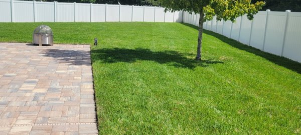grass repair! - grass repair! grass repair! - grass repair!