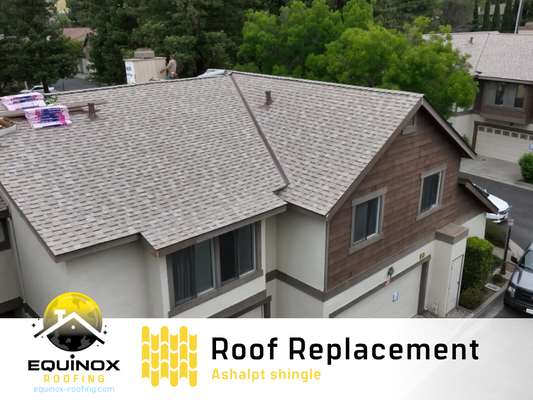 Roof Replacement | Asphalt Shingle Roofing - Roof Replacement | Asphalt Shingle Roof Replacement | Asphalt Shingle Roofing - Roof Replacement | Asphalt Shingle
