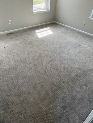 Professional Carpet Cleaning - Carpet Cleaning Tech Westley doing an amazing job cleaning carpets Professional Carpet Cleaning - Carpet Cleaning Tech Westley doing an amazing job cleaning carpets