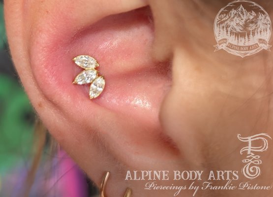 Body Piercing - A showcase of some of our beautiful jewelry selection, and piercings from our body piercing specialist Frankie Pistone.