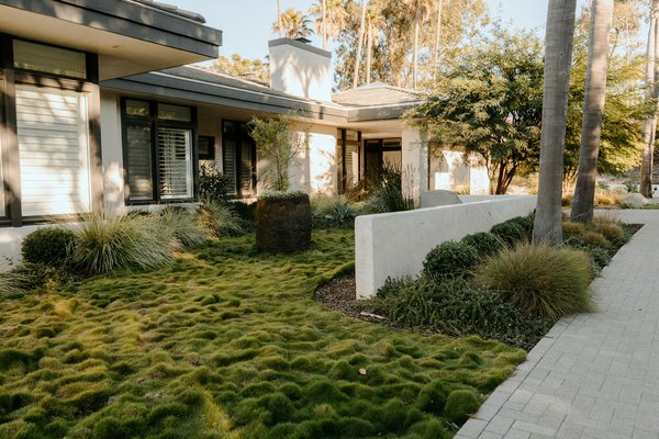Contemporary Home with Soft Plantings and Bold Lines - This contemporary residential landscape blends clean architectural lines with a warm, natural planting palette to create a calm, cohesive outdoor environment. Layered mass plantings of drought-tolerant grasses and ground covers soften the home’s modern façade, while sculptural trees, bold succulents and boulder accents provide structure and visual interest throughout the landscape. Geometric planters and retaining walls define space and guide circulation without interrupting the open feel of the property. Thoughtfully integrated hardscape, including permeable pavers and walkways, enhances usability while supporting sustainable water management. The result is a refined, low-maintenance landscape that complements the architecture and elevates everyday outdoor living.