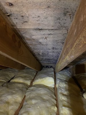 Damage Restoration files - Multiple different damage Restoration projects compiled in folder