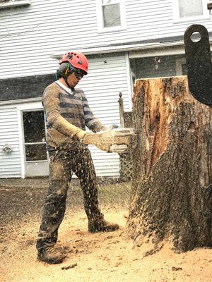 Tree Removal Services - Hire us to remove damaged trees from your yard! Our professionals get rid of any diseased or damaged trees on your lawn area. As a homeowner, you need not to worry about removing the dead or damaged trees on your residential property. Count on our certified staff to get the job done right for you.