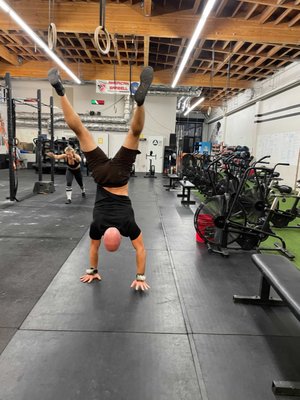 New year New You - STRENGTH. CONDITIONING. COMMUNITY.- this is ESTLR ATHLETICS - join us to be the best version of yourself New year New You - STRENGTH. CONDITIONING. COMMUNITY.- this is ESTLR ATHLETICS - join us to be the best version of yourself