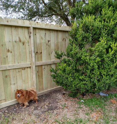 Nail Up Fences in Houston - Nail Up fences feature non-overlapping 6 ft high boards on one side and the frame on the other side.