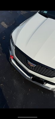 Full Exterior Detail - Full Exterior Detail Full Exterior Detail - Full Exterior Detail