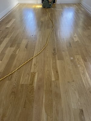 New Jersey project - Homeowner had a leak from sink in the kitchen, two months later we came and start sanding of hardwood.
A lot of waves on the floor but we got this done .
Two layers of Bona Natural Seal and another two of Bona Traffic HD New Jersey project - Homeowner had a leak from sink in the kitchen, two months later we came and start sanding of hardwood.
A lot of waves on the floor but we got this done .
Two layers of Bona Natural Seal and another two of Bona Traffic HD