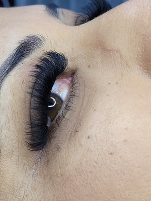 lash sessions - lashes from classics to mega volume lash sessions - lashes from classics to mega volume
