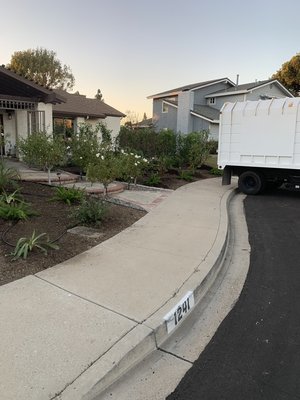 Paisajística - Se remídelo todo es patio de en frente plantas isistema de goteo nuevos Paisajística - Se remídelo todo es patio de en frente plantas isistema de goteo nuevos