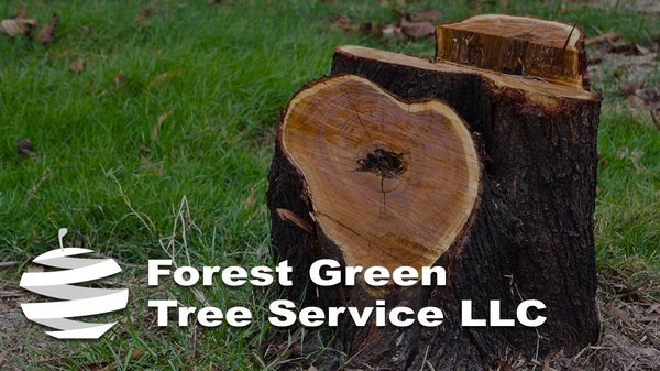 Get Rid of Stumps with Help from the Professionals - Have a stump just sitting in your yard? Do you want to get rid of it? Then get stump grinding service from the professionals! Forest Green Tree Service can provide you with high-quality stump grinding service. With our help, you’ll be rid of an unwanted stump in no time!
Stump grinding can be important for several reasons:
* It prevents a potential infestation of pests.
* It can help prevent new growth.
* It removes an eyesore from your property.
* It removes a potential hazard to your children, pets, or lawn tools.
At Forest Green Tree Service, we can easily grind down any stump. Using top-of-the-line equipment, we’ll grind a stump down to nothing, provide you with any necessary clean-up, and produce perfect end results. Best of all, you won’t have to pay a thing until the job’s complete! With us, you can be confident you’ll get the best results possible.
Ready to get professional stump grinding service? Then give us a call today and get your free estimate. Let the professionals help today. Get Rid of Stumps with Help from the Professionals - Have a stump just sitting in your yard? Do you want to get rid of it? Then get stump grinding service from the professionals! Forest Green Tree Service can provide you with high-quality stump grinding service. With our help, you’ll be rid of an unwanted stump in no time!
Stump grinding can be important for several reasons:
* It prevents a potential infestation of pests.
* It can help prevent new growth.
* It removes an eyesore from your property.
* It removes a potential hazard to your children, pets, or lawn tools.
At Forest Green Tree Service, we can easily grind down any stump. Using top-of-the-line equipment, we’ll grind a stump down to nothing, provide you with any necessary clean-up, and produce perfect end results. Best of all, you won’t have to pay a thing until the job’s complete! With us, you can be confident you’ll get the best results possible.
Ready to get professional stump grinding service? Then give us a call today and get your free estimate. Let the professionals help today.