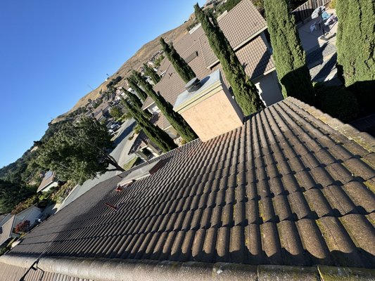 Cleaning terracotta shingles - Power washing teresita shingles.