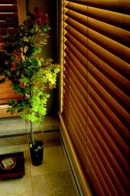 Horizontal Blinds - Our showroom carries a large selection of styles and materials, to offer you the perfect look for your home. Come visit us today or give us a call at (770) 726-3656