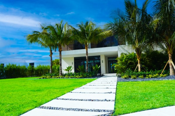 Frontyard Renovation - Experience the future of outdoor living. This contemporary garden renovation blends sleek lines with natural beauty. The minimalist design is punctuated by pops of color from exotic plants Frontyard Renovation - Experience the future of outdoor living. This contemporary garden renovation blends sleek lines with natural beauty. The minimalist design is punctuated by pops of color from exotic plants
