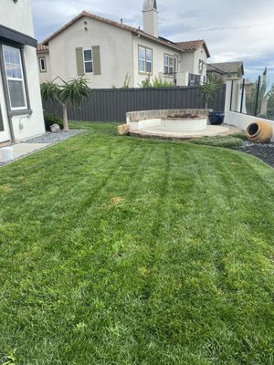 Lawn Maintenance. - Lawn maintenance and other projects Lawn Maintenance. - Lawn maintenance and other projects