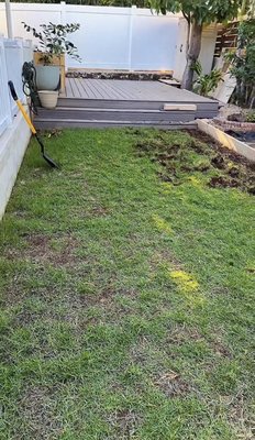 Landscaping sod install - If you are looking for sod installation with quality work, give us a call at 808-485-7343 Landscaping sod install - If you are looking for sod installation with quality work, give us a call at 808-485-7343