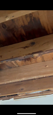 Roof leak repair - Roof leak repair and dry wall repair