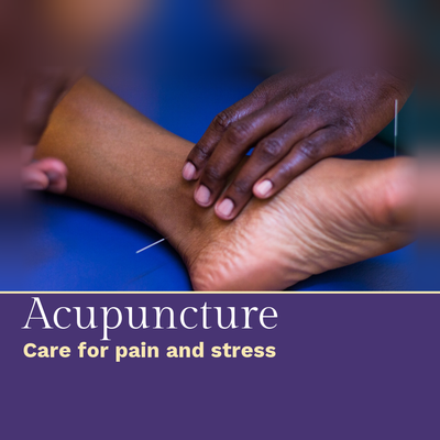 Acupuncture - Acupuncture for pain, stress and sleep with Carine Camara, L.Ac. Your first visit includes a full intake, then a treatment tailored to you. Book online through Jane App.