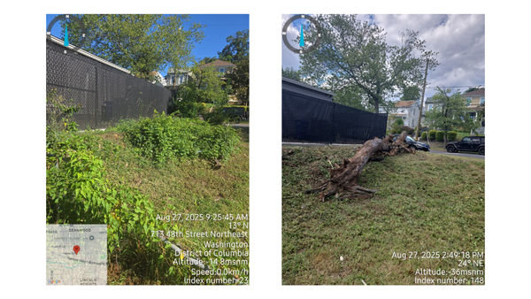 Overgrowth Clearing - We specialize in Commercial & Residential overgrowth clearing