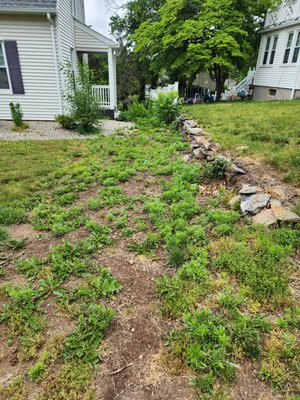 Sidewalk Uncovered - This sidewalk was risen from the grave! Sidewalk Uncovered - This sidewalk was risen from the grave!