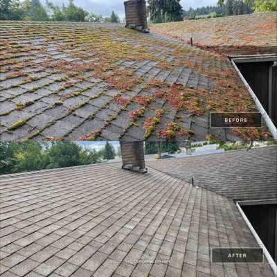 Roof Cleaning & Maintenance - After years of neglect, we've brought this roof back to life. Our team cleaned the roof and gutters, repaired any holes, and fixed boot collars. With our commitment to providing top-notch service at the right price every time, you can trust that you're getting the best care for your home. Roof Cleaning & Maintenance - After years of neglect, we've brought this roof back to life. Our team cleaned the roof and gutters, repaired any holes, and fixed boot collars. With our commitment to providing top-notch service at the right price every time, you can trust that you're getting the best care for your home.