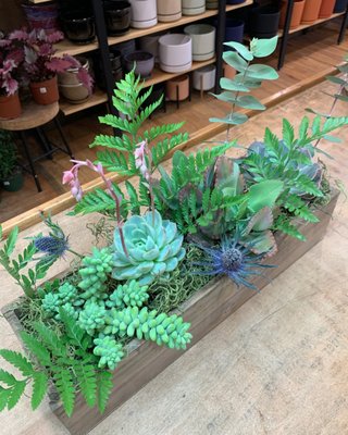 Custom Bulk Gifts + Special Event Classes - Large or small we can create custom planted gifts for your team. Some fun options are succulent arrangements, glass terrariums, air plants in woven baskets, plants in ceramic planters. We can add on candles & bath soaks to create a gift basket vibe. We are here to help you pick something unique that brings joy to your people. Custom Bulk Gifts + Special Event Classes - Large or small we can create custom planted gifts for your team. Some fun options are succulent arrangements, glass terrariums, air plants in woven baskets, plants in ceramic planters. We can add on candles & bath soaks to create a gift basket vibe. We are here to help you pick something unique that brings joy to your people.