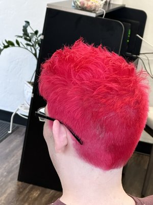 By My Salon 2019  - I’ve been doing hair 1988 By My Salon 2019  - I’ve been doing hair 1988