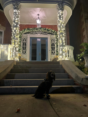 Residential Holiday Lighting Project 03 - Residential holiday lighting project in Richmond, VA Residential Holiday Lighting Project 03 - Residential holiday lighting project in Richmond, VA