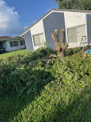 Garage clean out  - YARD WASTE REMOVAL Garage clean out  - YARD WASTE REMOVAL