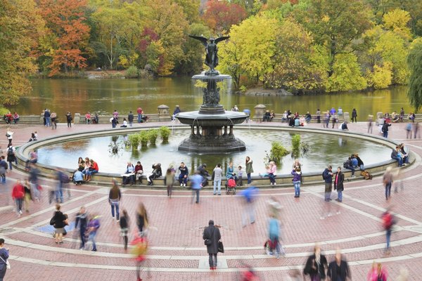 Tour Nueva York en un Día: Central Park, 9/11 y Estatua de la Libertad - Descubre Nueva York en un día con un recorrido en español por algunos de los lugares más emblemáticos de Manhattan. Visitamos Central Park, Quinta Avenida, Grand Central, SoHo, Chinatown, el Distrito Financiero y el Memorial del 9/11. También tomamos el Staten Island Ferry para disfrutar de increíbles vistas de la Estatua de la Libertad y el skyline de Manhattan. Una experiencia en vehículo y a pie ideal para conocer mucho de Nueva York en un solo día.
Esto coincide mucho mejor con lo que realmente ofrece el tour. Tour Nueva York en un Día: Central Park, 9/11 y Estatua de la Libertad - Descubre Nueva York en un día con un recorrido en español por algunos de los lugares más emblemáticos de Manhattan. Visitamos Central Park, Quinta Avenida, Grand Central, SoHo, Chinatown, el Distrito Financiero y el Memorial del 9/11. También tomamos el Staten Island Ferry para disfrutar de increíbles vistas de la Estatua de la Libertad y el skyline de Manhattan. Una experiencia en vehículo y a pie ideal para conocer mucho de Nueva York en un solo día.
Esto coincide mucho mejor con lo que realmente ofrece el tour.