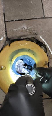 Life will find a way! - We were called out for a clogged toilet at a nationally-known burger brand location. Ultimately, we found the culprit to be a seed that was embedded in the floor flange, and had germinated with a well-developed root mass lining the inside of the sewer pipe! If it only had access to sunlight, it might have turned into a full-fledged tree - we think it was a palm tree. Life will find a way! - We were called out for a clogged toilet at a nationally-known burger brand location. Ultimately, we found the culprit to be a seed that was embedded in the floor flange, and had germinated with a well-developed root mass lining the inside of the sewer pipe! If it only had access to sunlight, it might have turned into a full-fledged tree - we think it was a palm tree.