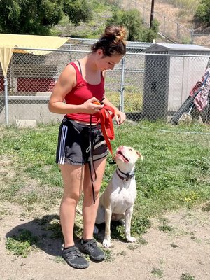 10-Day Day Training Program - Our EPT 10-Day Training Program is a unique program designed for families who want to be a part of the training process and at the same time have their dog benefit from a full day of intense immersion training. Ideally these training days are scheduled at least twice a week for maximum training benefit.

The program also includes one 30 minute one-on-one session with a trainer at drop off on Day #1 and one 30 minute session with a trainer at drop off on Day #10. There are shorter sessions each day at pick up reviewing your dog's progress and the homework for the next session. 

Structured Day Training will first focus on the three basic commands; Don't Pull on My Leash, Lay Down and Come Back When You're Called. Then we will introduce higher level distractions and ranch pack walks to bomb proof the desired behavior.

We will introduce and do the initial training followed by the family continuing the training at home between program days. You will be provided with homework including a checklist and videos to help guide you through the week.

A single day in our EPT 10-Day Program consists of structured one-on-one training, supervised play, trail hikes and water play (warmer months only). Supervised socialization with other dogs, humans, and farm animals, on pack hikes and during daily activities. The ranch provides a host of outside stimuli and distractions enabling our trainers to identify and work out areas needing improvement. Every opportunity it a training opportunity during their full day here at the ranch.