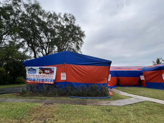 Bye Bye Termites Pest Control
Formosan Termites Fumigation
South Miami, FL
63k slab - Bye Bye Termites Pest Control
Termite Fumigation
www.byebyetermitespestcontrol.com
305-244-5688 ANDY
305-525-8361 LAZARO
MIAMI’S #1 FUMIGATION TEAM Bye Bye Termites Pest Control
Formosan Termites Fumigation
South Miami, FL
63k slab - Bye Bye Termites Pest Control
Termite Fumigation
www.byebyetermitespestcontrol.com
305-244-5688 ANDY
305-525-8361 LAZARO
MIAMI’S #1 FUMIGATION TEAM