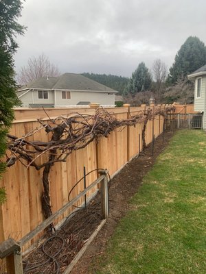 Cedar Fence with concrete curb - Beautiful cedar fence with concrete curb. Customer wanted a beefier fence, so we used 6"x6" posts. Post caps round out the fence giving it a little bit of charm. The concrete curb below helped stop soil erosion the customer was having; and it really helps prevent grasses and weeds from spiraling up and growing into the fence. Cedar Fence with concrete curb - Beautiful cedar fence with concrete curb. Customer wanted a beefier fence, so we used 6"x6" posts. Post caps round out the fence giving it a little bit of charm. The concrete curb below helped stop soil erosion the customer was having; and it really helps prevent grasses and weeds from spiraling up and growing into the fence.